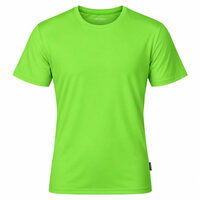 ACTIVE ORIGINAL men's sports T-shirt lt.green